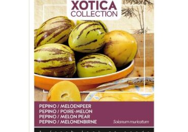 Pepino sjeme vixa